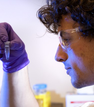 thumb-20190614_sb_cow-eye-research_010-5.jpg